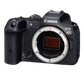 Canon EOS R7 Body