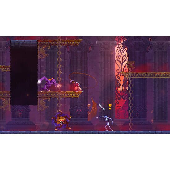 ვიდეო თამაში Nintendo Switch Game Dead Cells Return To Castlevania Bundle - ბიგმარტი